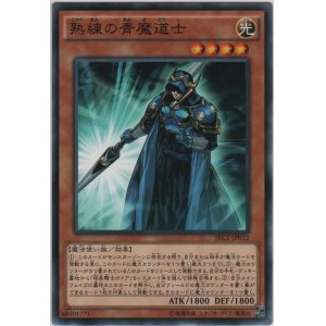 画像: 熟練の青魔道士【ノーマル】