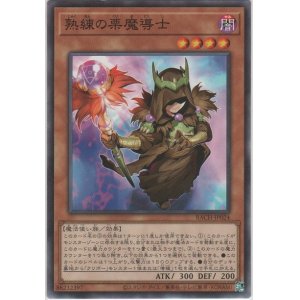 画像: 熟練の栗魔導士【ノーマル】