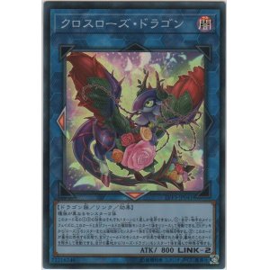 波動竜フォノン ドラゴン スーパーレア カードショップ ノーザンクロス