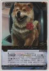 画像: デンジ犬アイシー