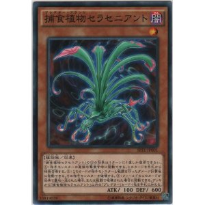 画像: 捕食植物セラセニアント【ノーマル】